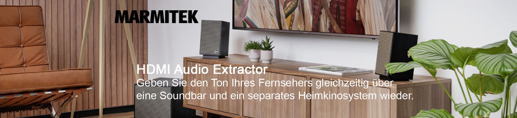 audio-extractor-2510-de.jpg